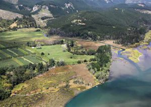 Property: Campsite - Development, Pauanui