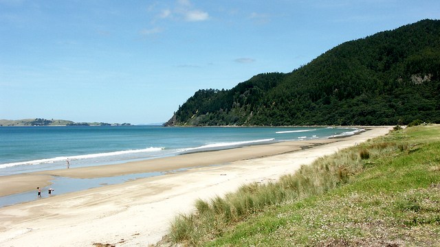 pauanui-beach-inspired-property Inspired Property Pauanui Beach