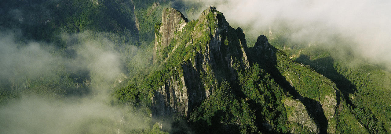 The-Pinnacles-at-The-Coromandel